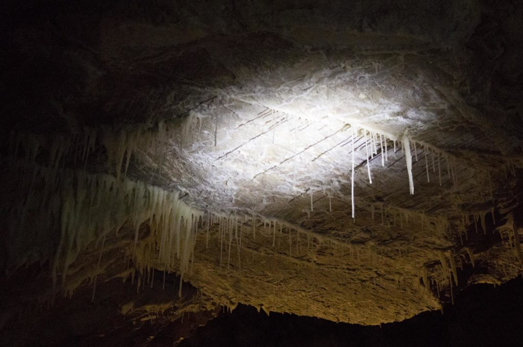 Many small stalactites on the ceiling of Frasassi Caves