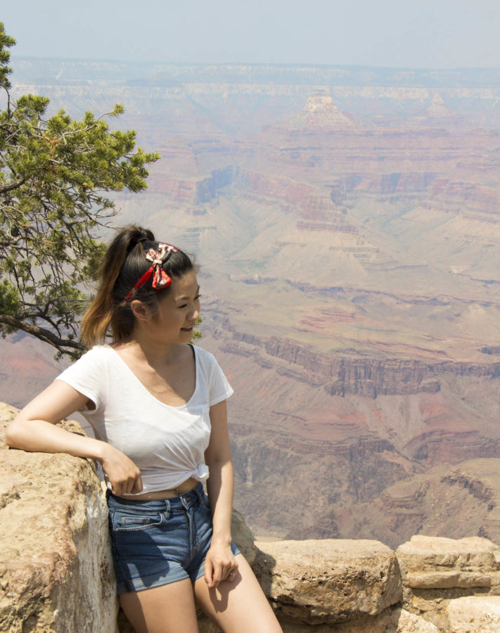 Grand Canyon view 2